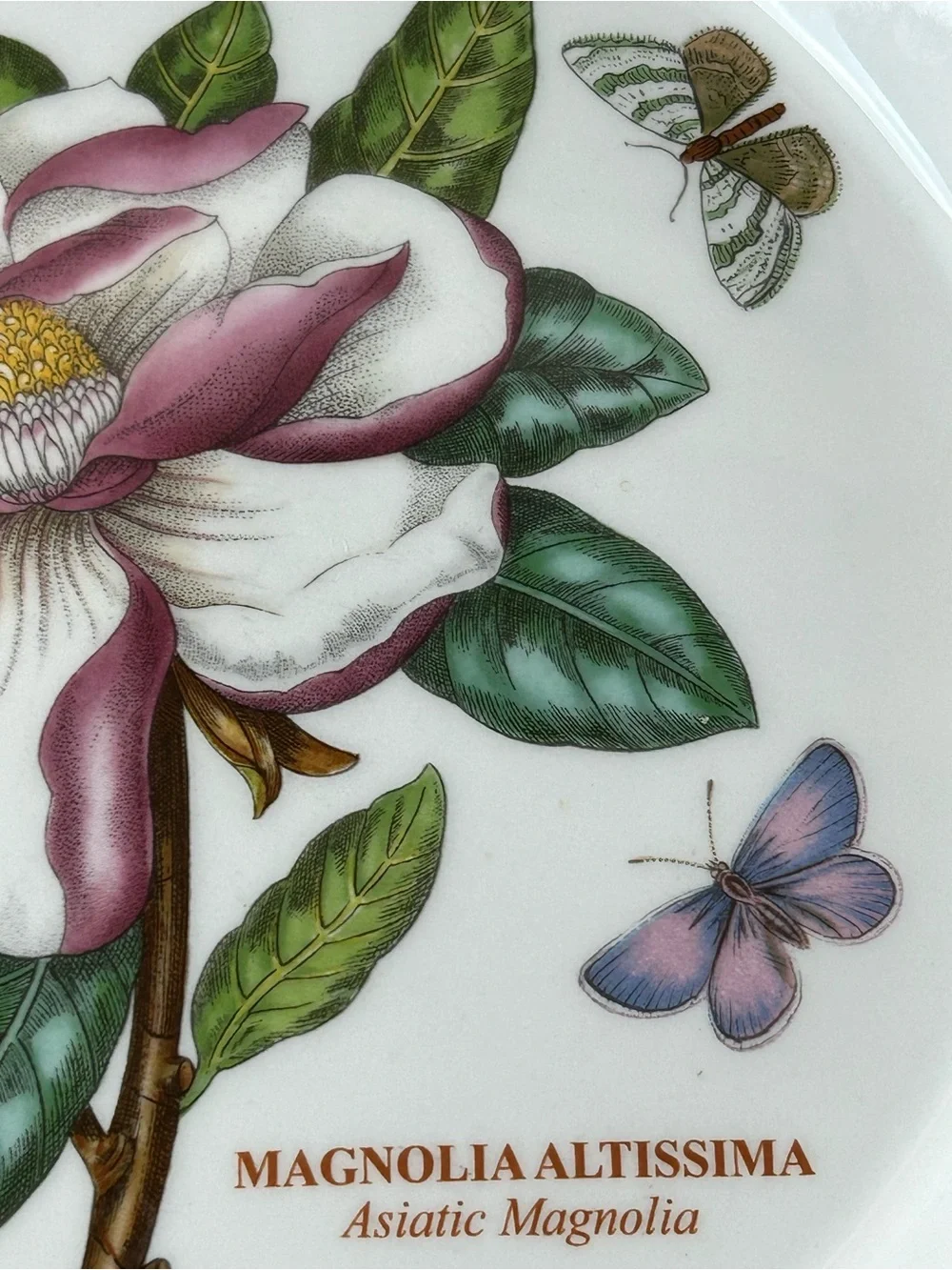 PORTMEIRION BOTANIC GARDEN 10.5